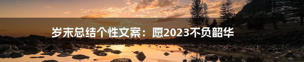 岁末总结个性文案：愿2023不负韶华