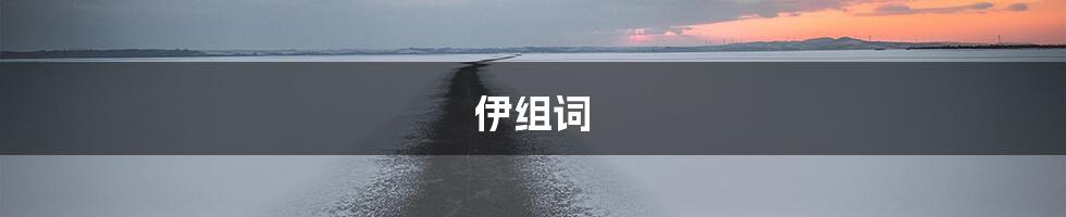 伊组词