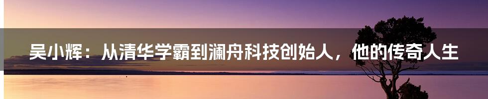 吴小辉：从清华学霸到澜舟科技创始人，他的传奇人生