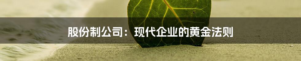 股份制公司：现代企业的黄金法则