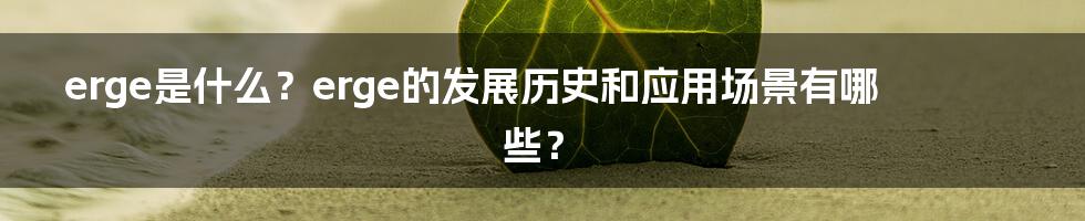 erge是什么？erge的发展历史和应用场景有哪些？