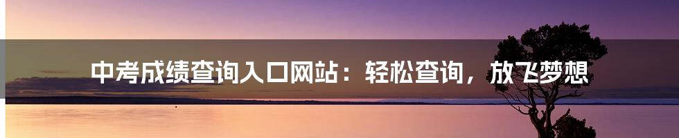 中考成绩查询入口网站：轻松查询，放飞梦想