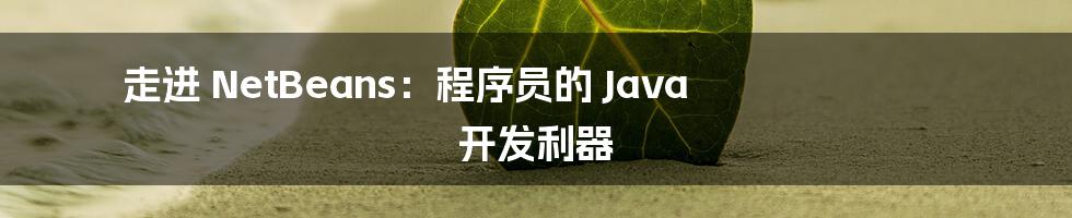 走进 NetBeans：程序员的 Java 开发利器