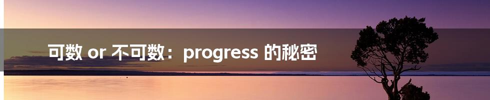 可数 or 不可数：progress 的秘密