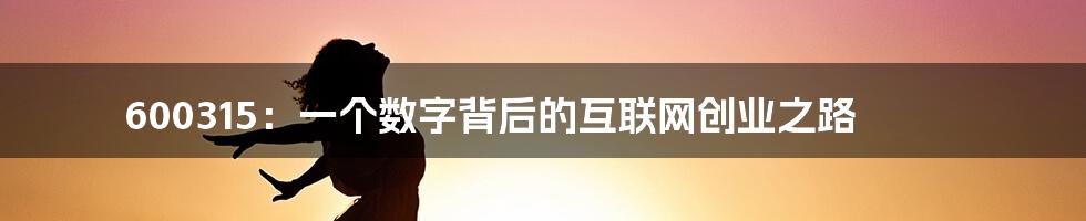 600315：一个数字背后的互联网创业之路