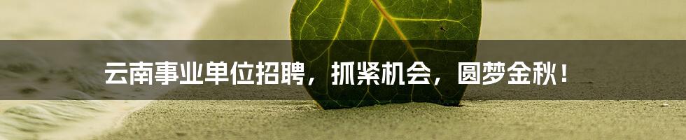 云南事业单位招聘，抓紧机会，圆梦金秋！