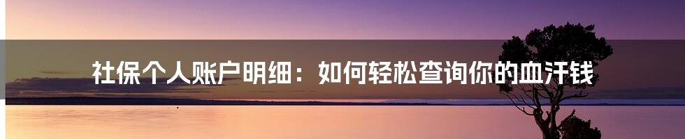 社保个人账户明细：如何轻松查询你的血汗钱