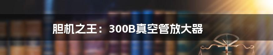 胆机之王：300B真空管放大器