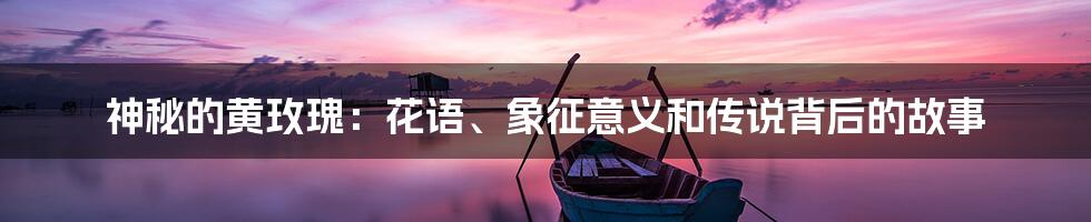 神秘的黄玫瑰：花语、象征意义和传说背后的故事