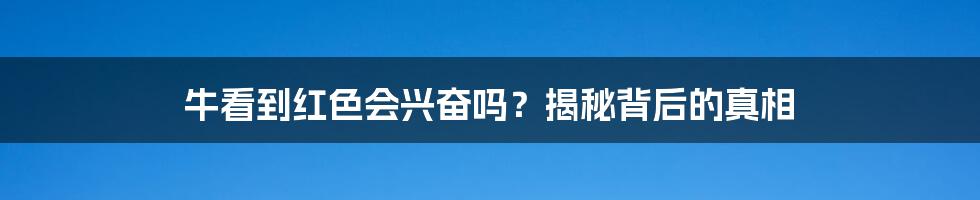 牛看到红色会兴奋吗？揭秘背后的真相