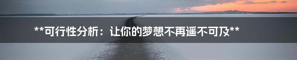 **可行性分析：让你的梦想不再遥不可及**