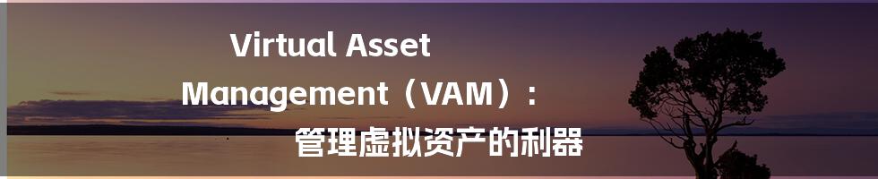 Virtual Asset Management（VAM）: 管理虚拟资产的利器