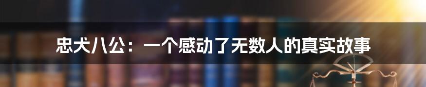 忠犬八公：一个感动了无数人的真实故事