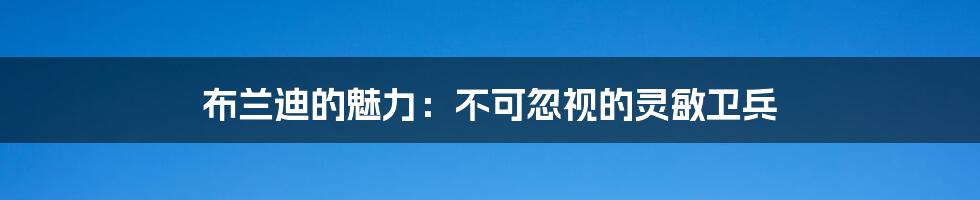 布兰迪的魅力：不可忽视的灵敏卫兵