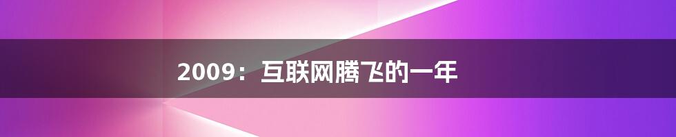 2009：互联网腾飞的一年