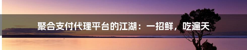 聚合支付代理平台的江湖：一招鲜，吃遍天