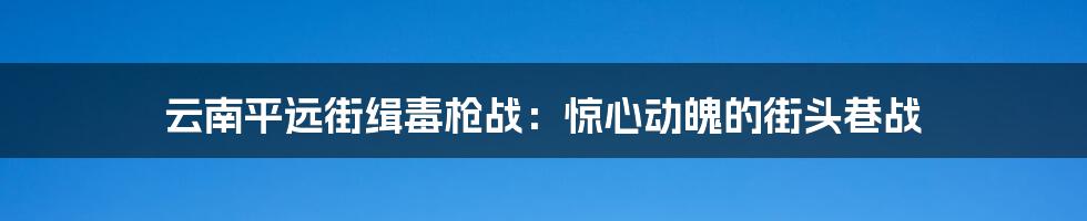 云南平远街缉毒枪战：惊心动魄的街头巷战