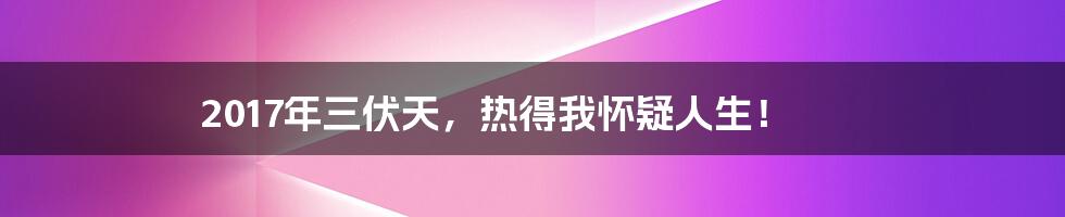 2017年三伏天，热得我怀疑人生！