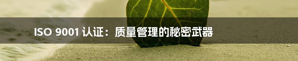 ISO 9001 认证：质量管理的秘密武器