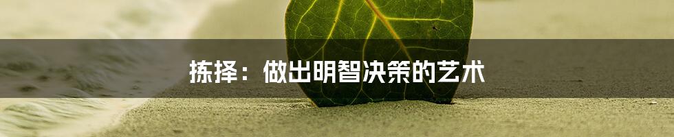 拣择：做出明智决策的艺术