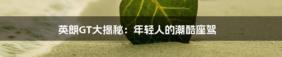 英朗GT大揭秘：年轻人的潮酷座驾