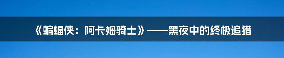 《蝙蝠侠：阿卡姆骑士》——黑夜中的终极追猎