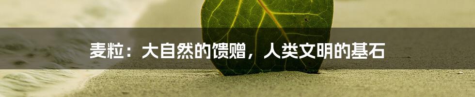 麦粒：大自然的馈赠，人类文明的基石