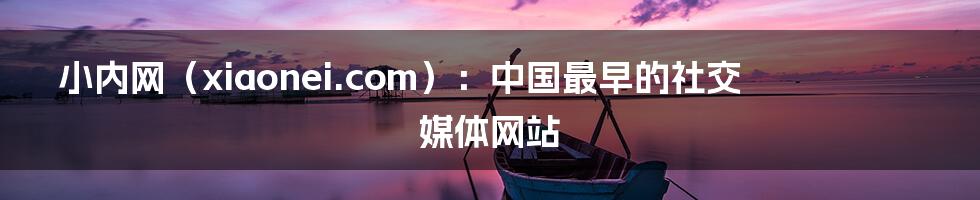 小内网（xiaonei.com）：中国最早的社交媒体网站