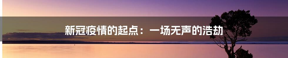 新冠疫情的起点：一场无声的浩劫