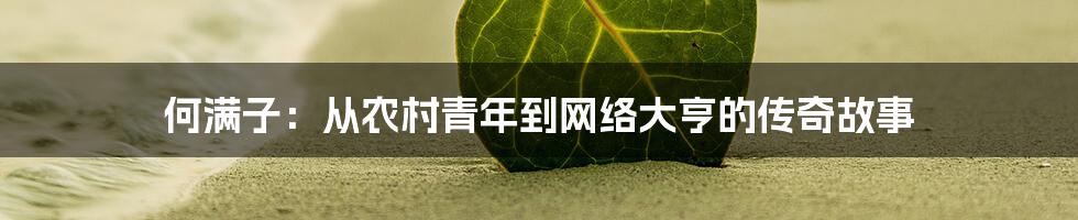 何满子：从农村青年到网络大亨的传奇故事