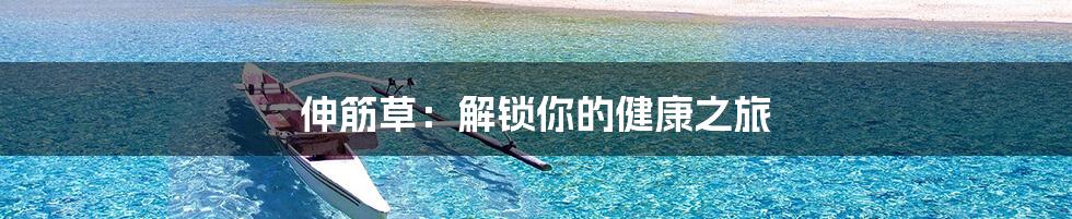 伸筋草：解锁你的健康之旅