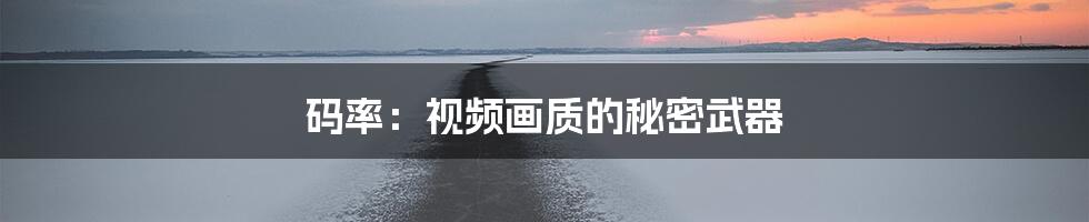 码率：视频画质的秘密武器