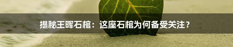 揭秘王晖石棺：这座石棺为何备受关注？