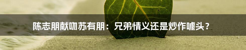 陈志朋献吻苏有朋：兄弟情义还是炒作噱头？