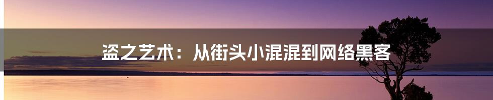 盗之艺术：从街头小混混到网络黑客