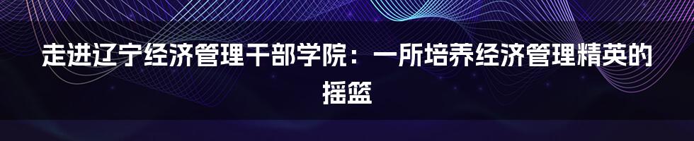 走进辽宁经济管理干部学院：一所培养经济管理精英的摇篮