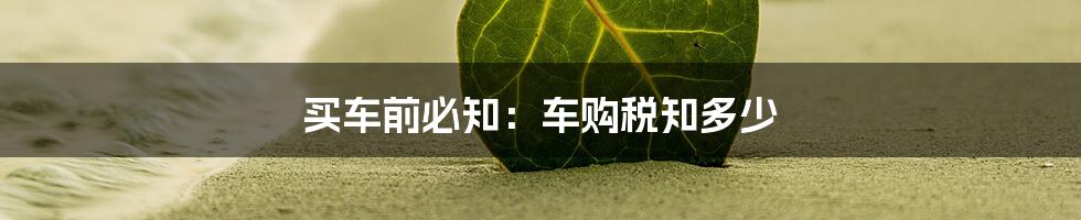 买车前必知：车购税知多少