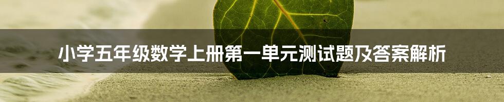 小学五年级数学上册第一单元测试题及答案解析