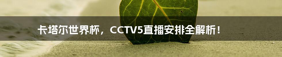 卡塔尔世界杯，CCTV5直播安排全解析！