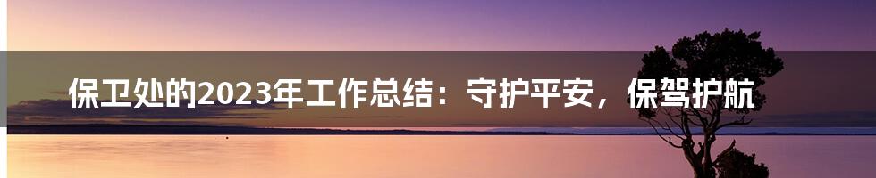 保卫处的2023年工作总结：守护平安，保驾护航