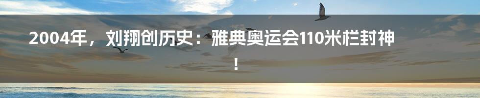 2004年，刘翔创历史：雅典奥运会110米栏封神！