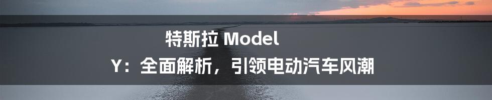 特斯拉 Model Y：全面解析，引领电动汽车风潮