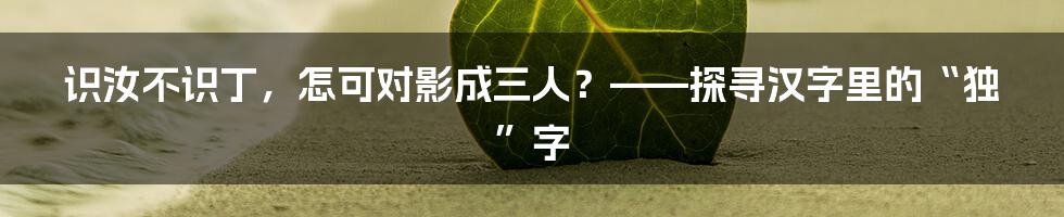 识汝不识丁，怎可对影成三人？——探寻汉字里的“独”字