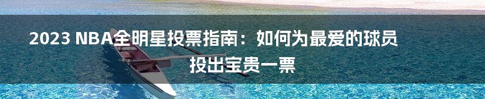 2023 NBA全明星投票指南：如何为最爱的球员投出宝贵一票