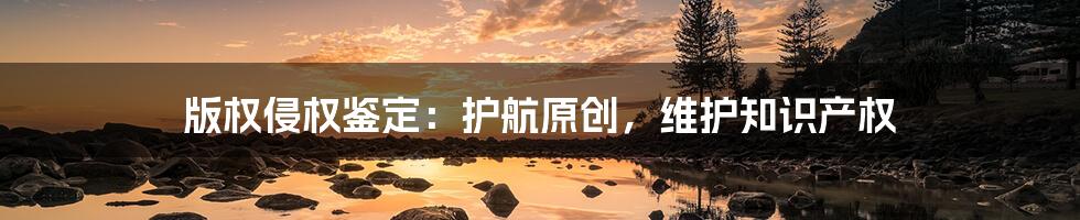 版权侵权鉴定：护航原创，维护知识产权