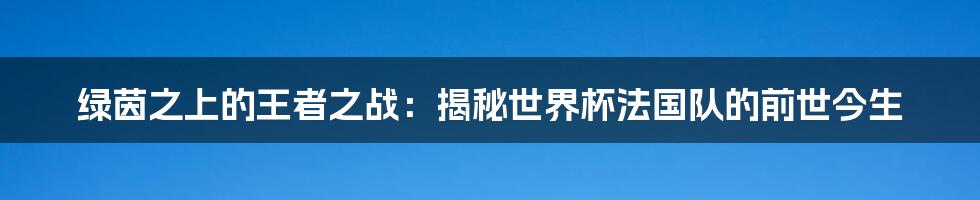 绿茵之上的王者之战：揭秘世界杯法国队的前世今生