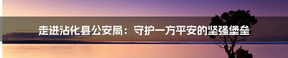 走进沾化县公安局：守护一方平安的坚强堡垒