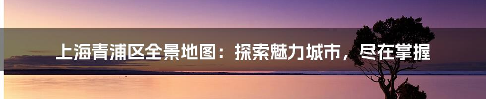 上海青浦区全景地图：探索魅力城市，尽在掌握