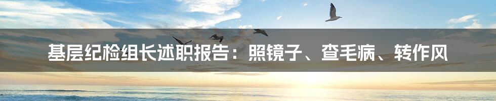 基层纪检组长述职报告：照镜子、查毛病、转作风