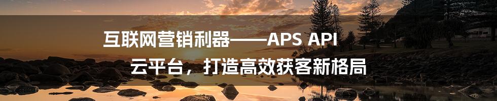 互联网营销利器——APS API 云平台，打造高效获客新格局